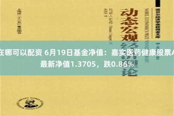 在哪可以配资 6月19日基金净值：嘉实医药健康股票A最新净值1.3705，跌0.86%