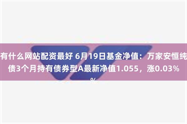 有什么网站配资最好 6月19日基金净值：万家安恒纯债3个月持有债券型A最新净值1.055，涨0.03%