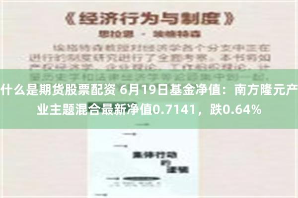 什么是期货股票配资 6月19日基金净值：南方隆元产业主题混合最新净值0.7141，跌0.64%