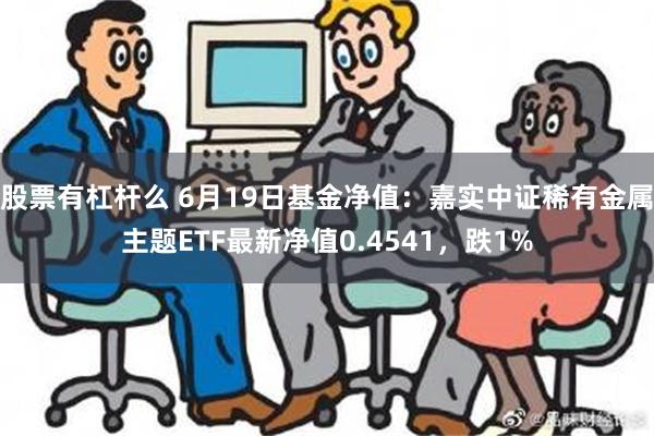 股票有杠杆么 6月19日基金净值：嘉实中证稀有金属主题ETF最新净值0.4541，跌1%