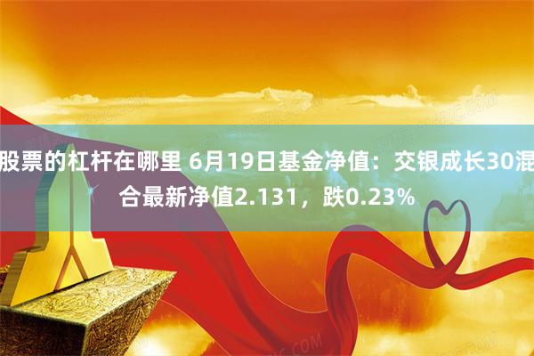 股票的杠杆在哪里 6月19日基金净值：交银成长30混合最新净值2.131，跌0.23%