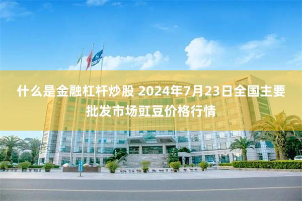 什么是金融杠杆炒股 2024年7月23日全国主要批发市场豇豆价格行情