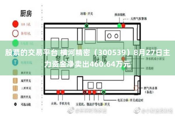 股票的交易平台 横河精密（300539）8月27日主力资金净卖出460.64万元