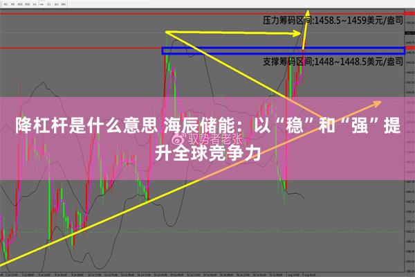 降杠杆是什么意思 海辰储能：以“稳”和“强”提升全球竞争力