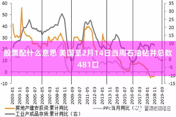 股票配什么意思 美国至2月14日当周石油钻井总数481口